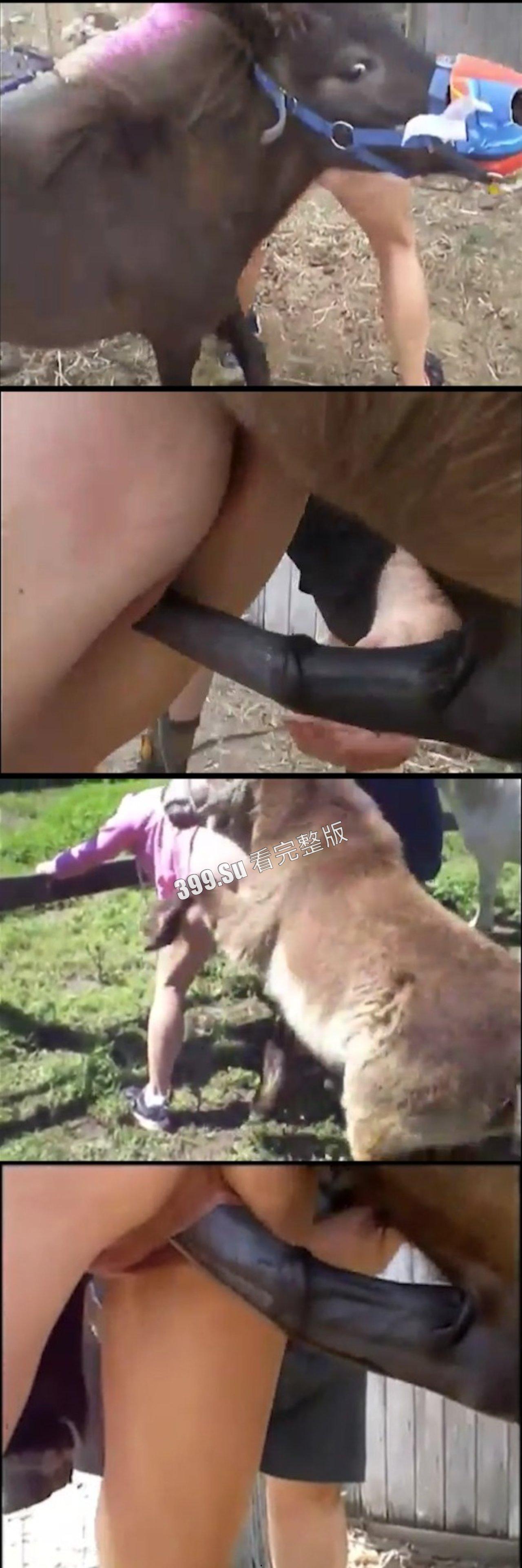 人兽篇  不理解，但是大为震撼！有请本场男演员：好多狗，马，驴，猪！（介意的瓜友 勿点! ）-3