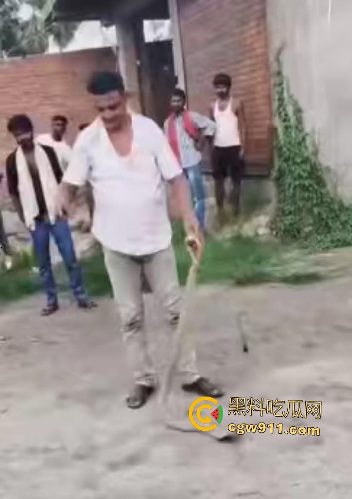 印度蛇王装逼被反杀，毒眼镜蛇一口咬死抓蛇神人，没想到血清忘带了，直接当场丧命，下辈子别再装逼了！-2